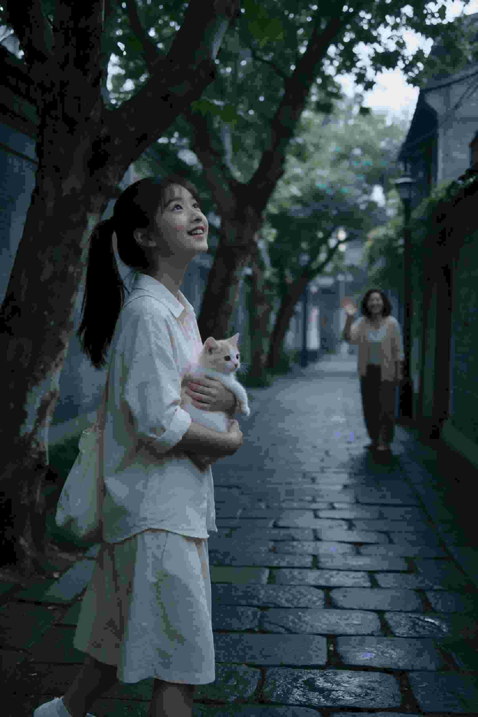 远方的歌